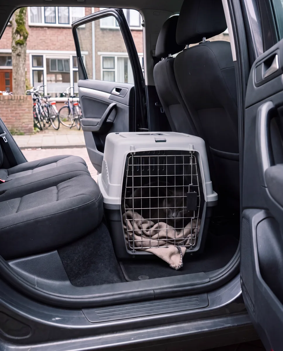 Gesloten transportmand met een deken op de vloer van een auto, het portier open naar een rustige straat.